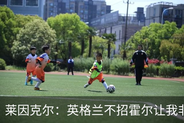 莱因克尔：英格兰不招霍尔让我非常不解，为帕尔默落选感到失望